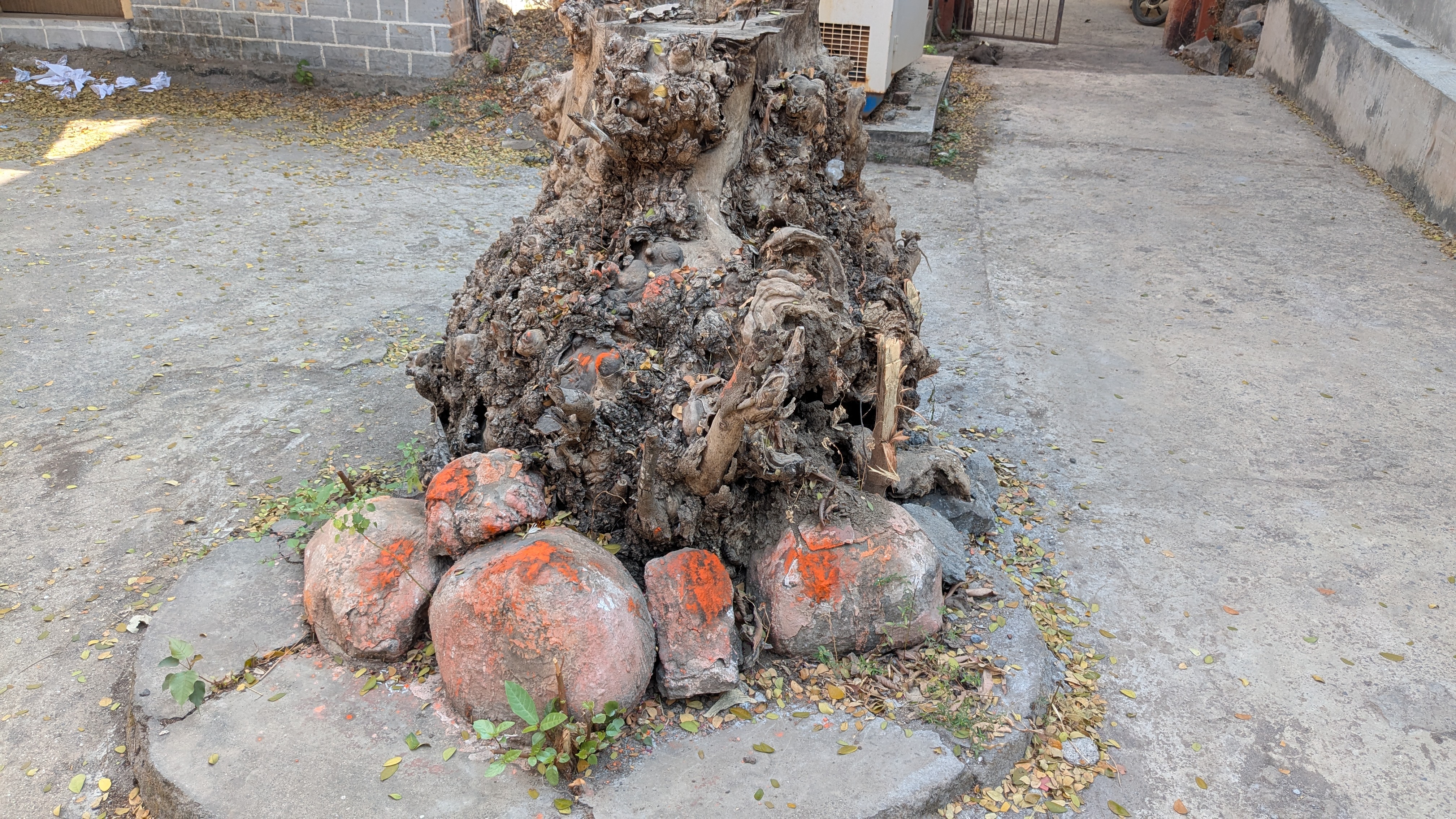 Dahanu Fort